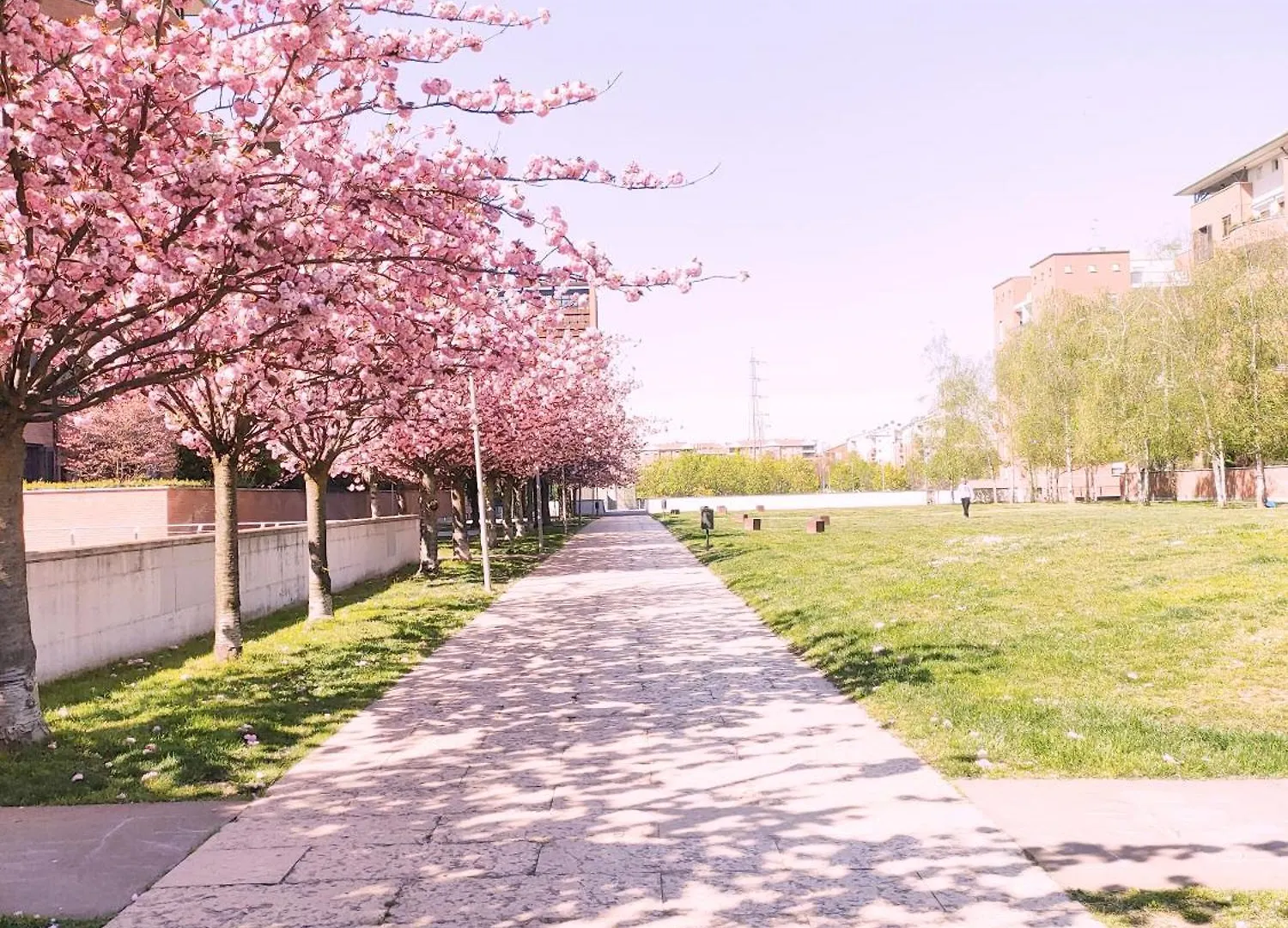 Appartamento Con Terrazzo Privato Milano San Raffaele - 维默德隆尼 0*,  意大利