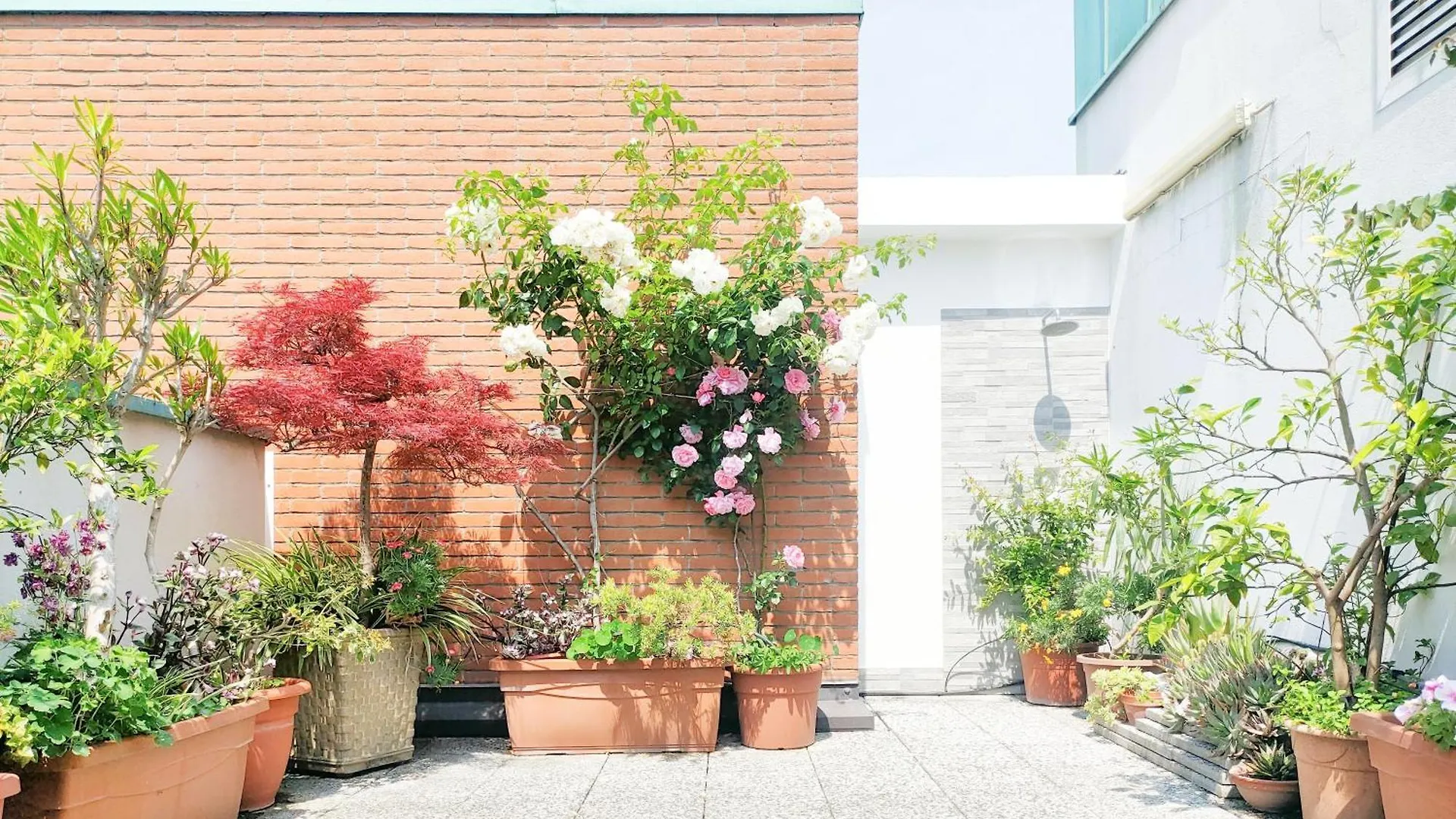 Appartamento Con Terrazzo Privato Milano San Raffaele - 维默德隆尼
