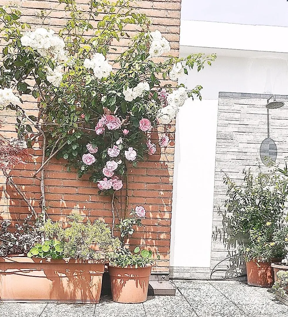 公寓 Appartamento Con Terrazzo Privato Milano San Raffaele - 维默德隆尼